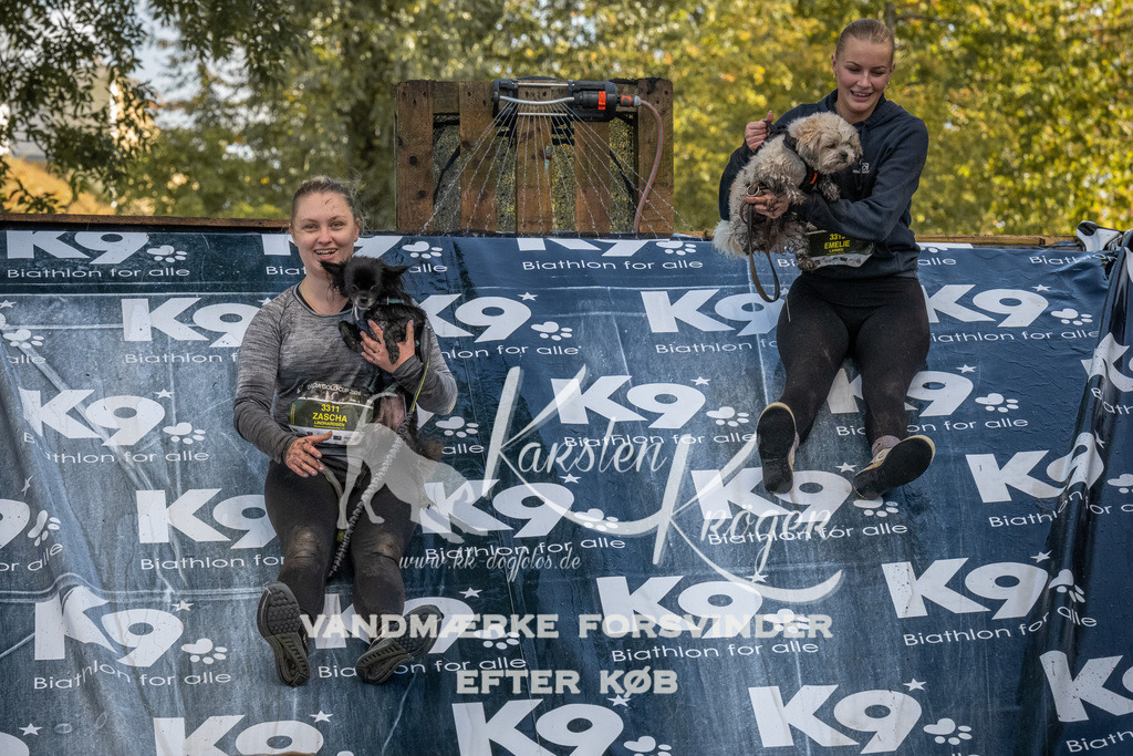 1557_ZZ91478 | kk-dogfotos