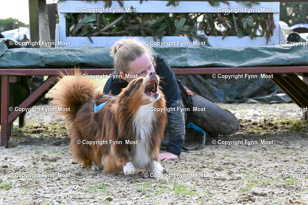 DSC_3501 | Hallo und herzlich Willkommen auf meiner Shop-Seite Fynn Most.

Ich wünsche Dir viel Spaß beim stöbern durch die Bilder, wenn Du Fragen hast oder Bilder vermisst, kannst du mir gerne eine Nachricht schreiben. - Realisiert mit Pictrs.com
