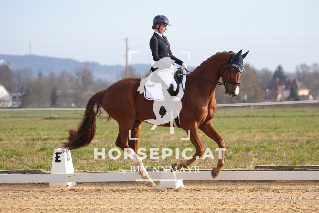 0P6A5954 | Willkommen bei Brunnmayr - Design & Fotografie – Ihrem Spezialisten für Reitturniere und Pferdeveranstaltungen in Oberösterreich, Salzburg und Bayern! Seit über 17 Jahren sind wir leidenschaftlich dabei.