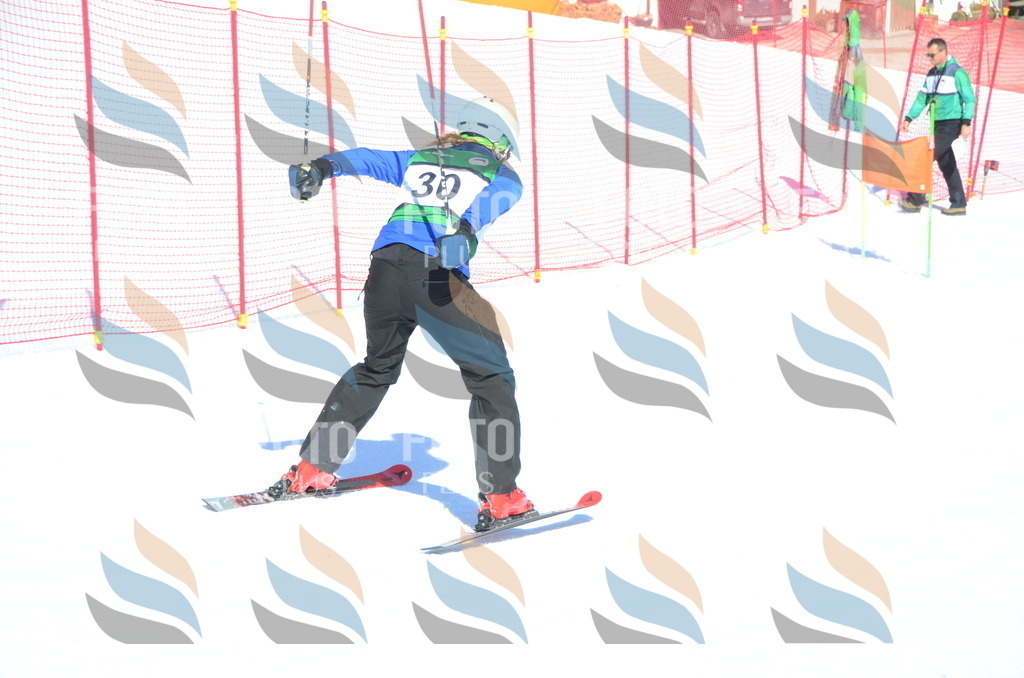 C6933 | holidayphoto