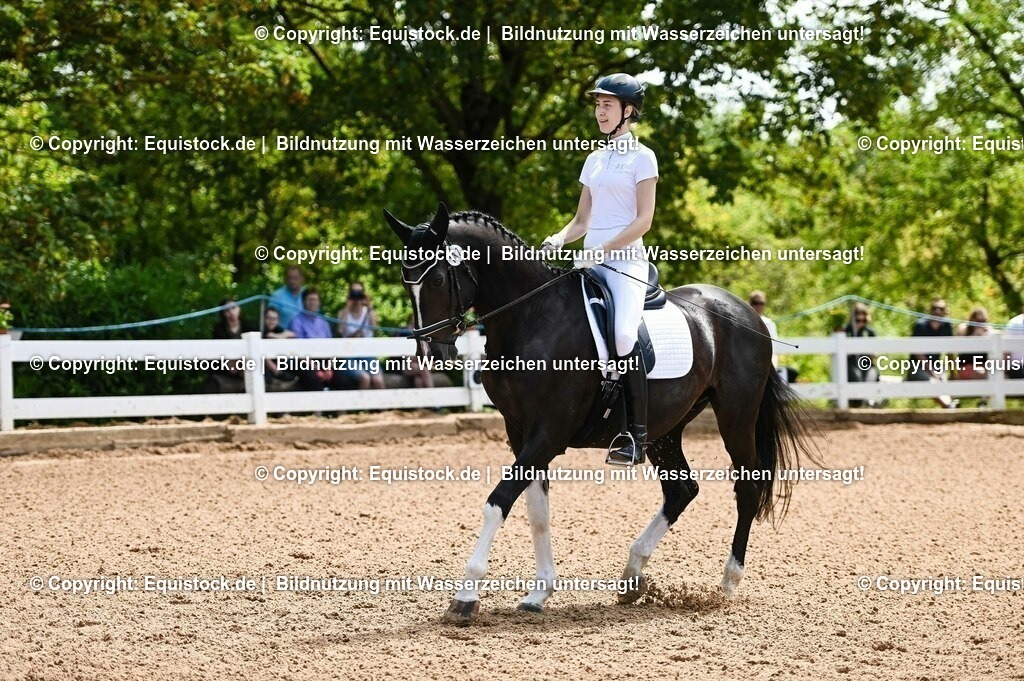 20230716_03_Dressurprfg. Kl.L - Tr._0011 | equistock
