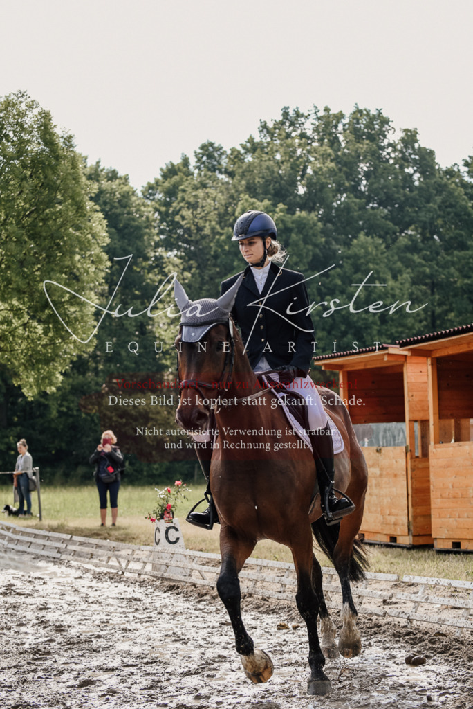 DSC_9015 | Pferde- und Turnierfotografie in Westsachsen. Pferdeportraits, Auftragszeichnungen und intuitive Kunst.