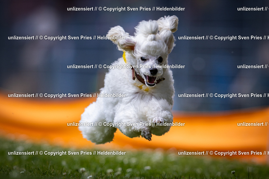 Sven Pries | 2025-05-29 - Pudelrennen KA-Durlach - Realisiert mit Pictrs.com