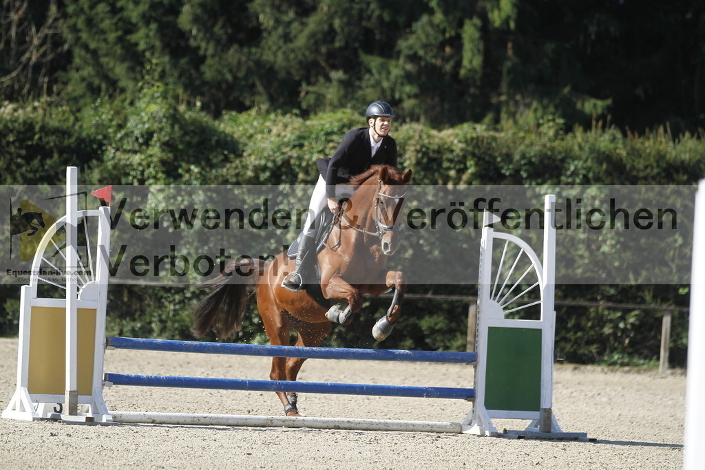 _MG_4221 | equestrian-live-com
