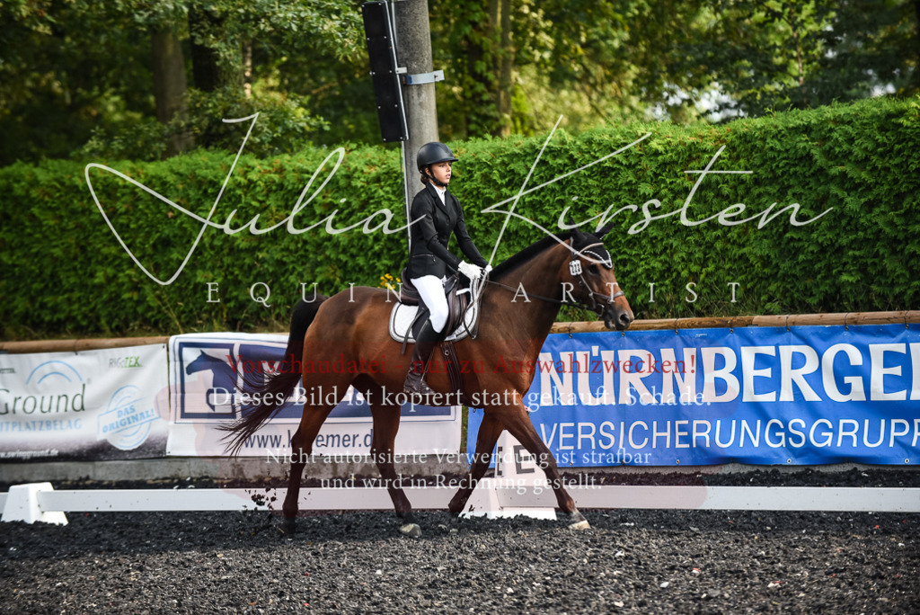 DSC_3482 | Pferde- und Turnierfotografie in Westsachsen. Pferdeportraits, Auftragszeichnungen und intuitive Kunst.