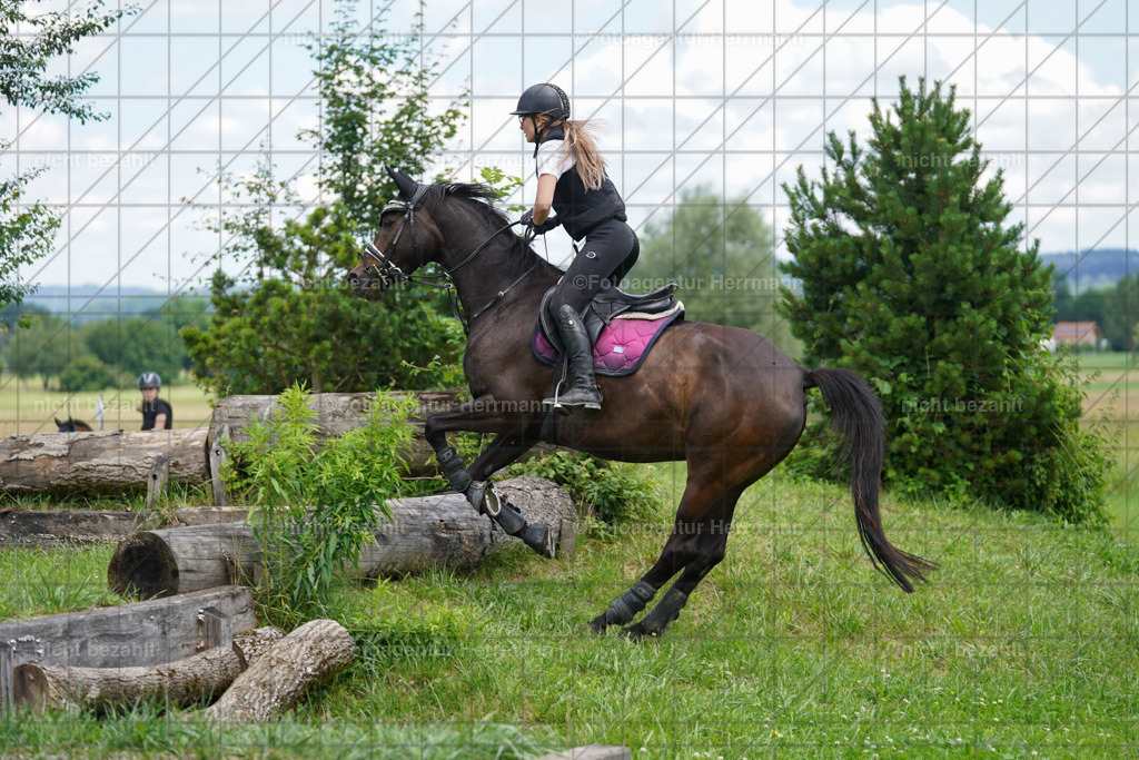 20240622-FAH07428 | Turnierfotografen Bayern, Reitsportbilder aus dem Geländekurs mit Felix Etzel auf dem Gut Waitzacker 2024