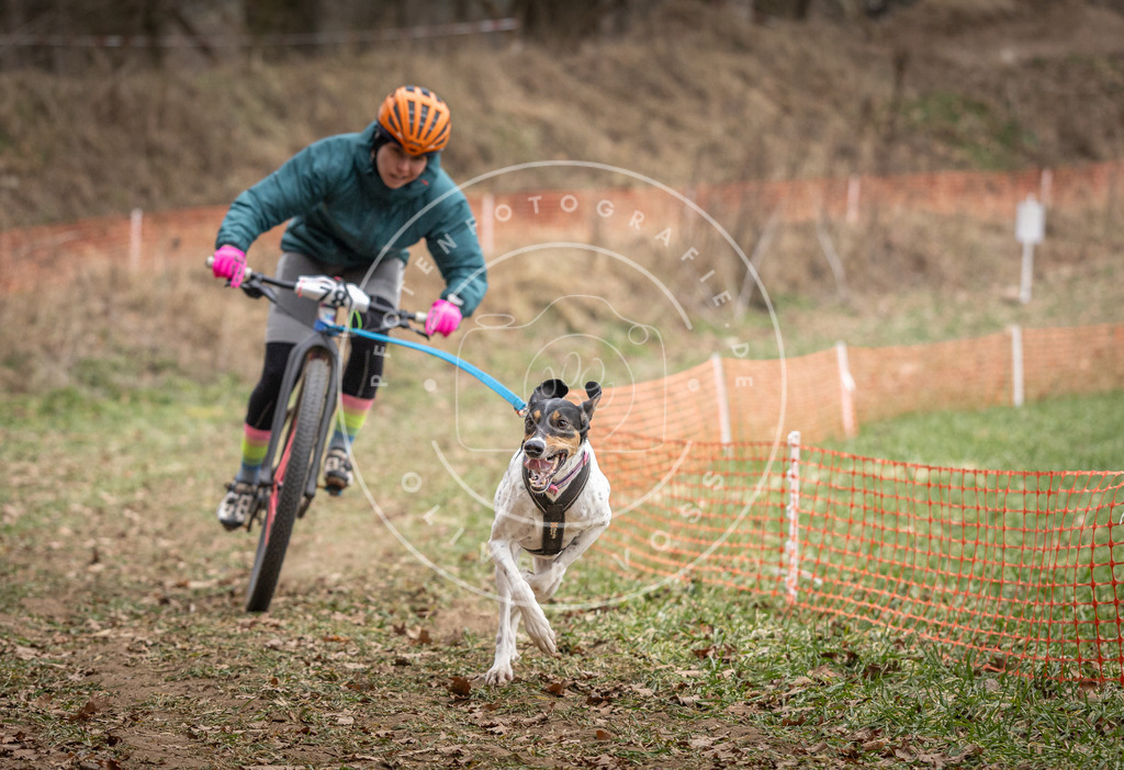 Pfotenfotografie_DV3A5082 | Hundefotografie, Tierfotograf, Pfotenfotografie, Fotoshooting Hund, Hunde Portrait, Hundesport, Hundeportraits, Heideshooting, Hunde, Sportfotograf, Hundefotograf, Turnierhundsport, THS,  - Realisiert mit Pictrs.com
