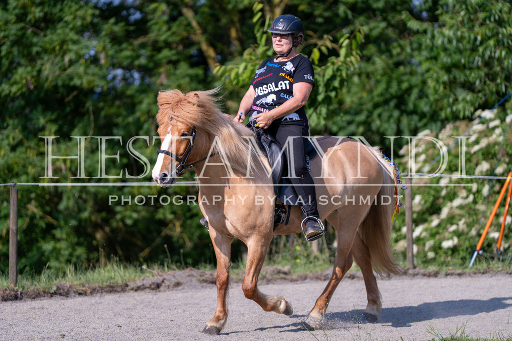 KAI07187 | Ihr sucht einen Fotografen für eure nächste OSI? Ich begleite auch euer Turnier für Islandpferde fotografisch.  - Realisiert mit Pictrs.com