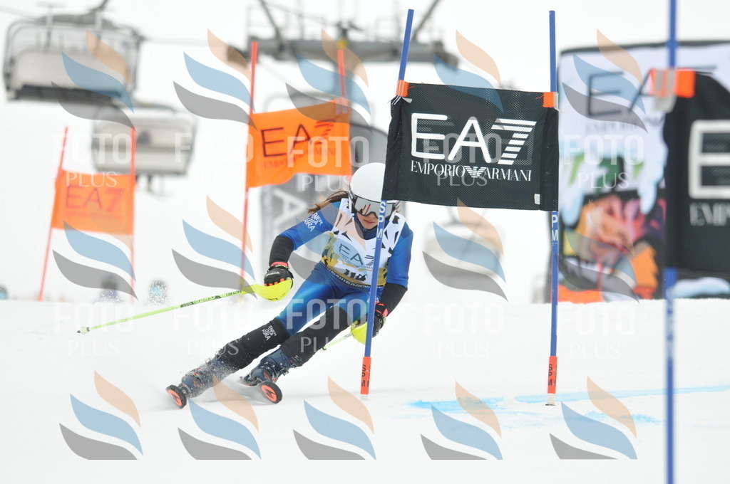 DSC_8159 | holidayphoto