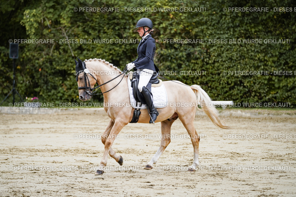 DSC08845 | Pferdegrafie