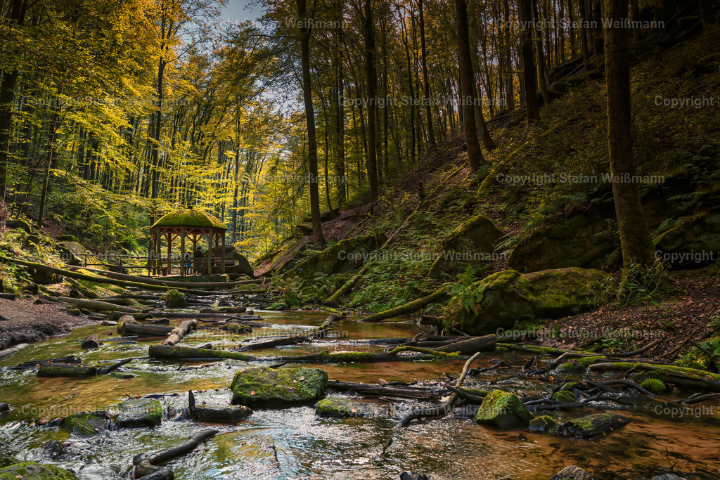 Wanderung Trippstadt | Wanderung Trippstadt - Realisiert mit Pictrs.com