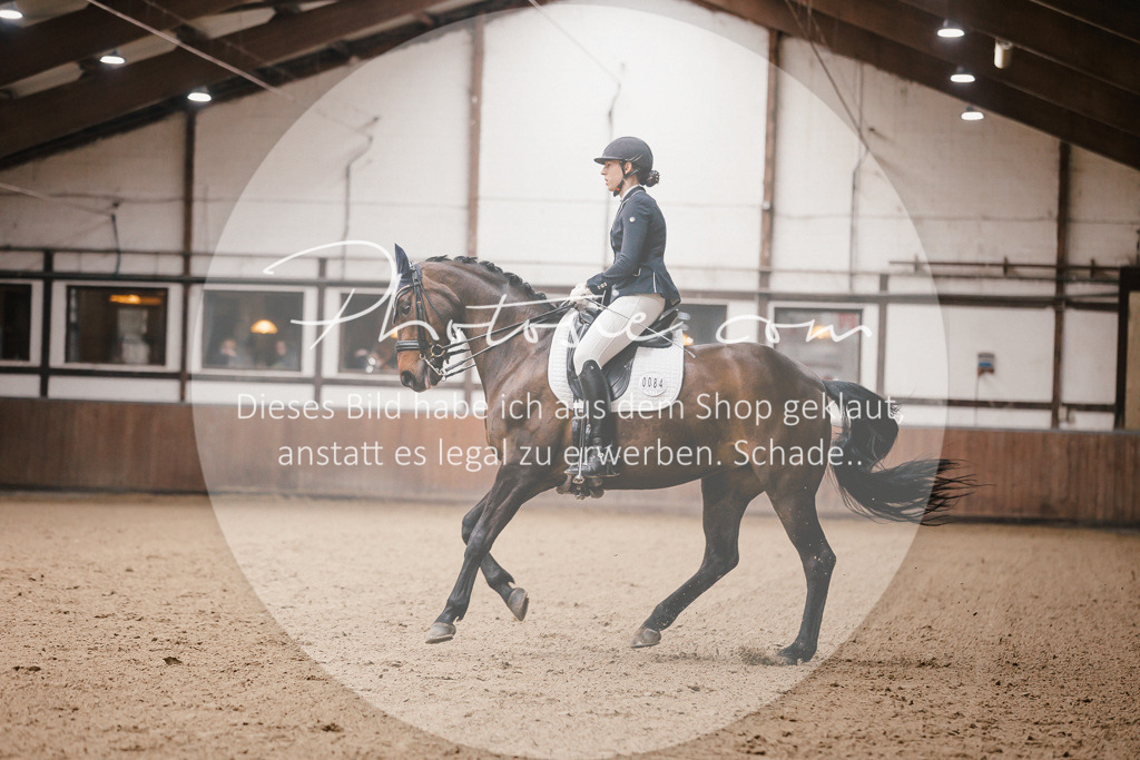 3I6A8791 | Stimmungsvolle Portraits und Reitsportfotografie im Ruhrgebiet und im Münsterland.

Pferdefotografie, Hundefotografie, Tierfotografie, Reportagen, Portraits von Tier und Mensch, Turnierfotografie in Bochum, Recklinghausen, Marl, Haltern am See, Dülmen.. - Realisiert mit Pictrs.com
