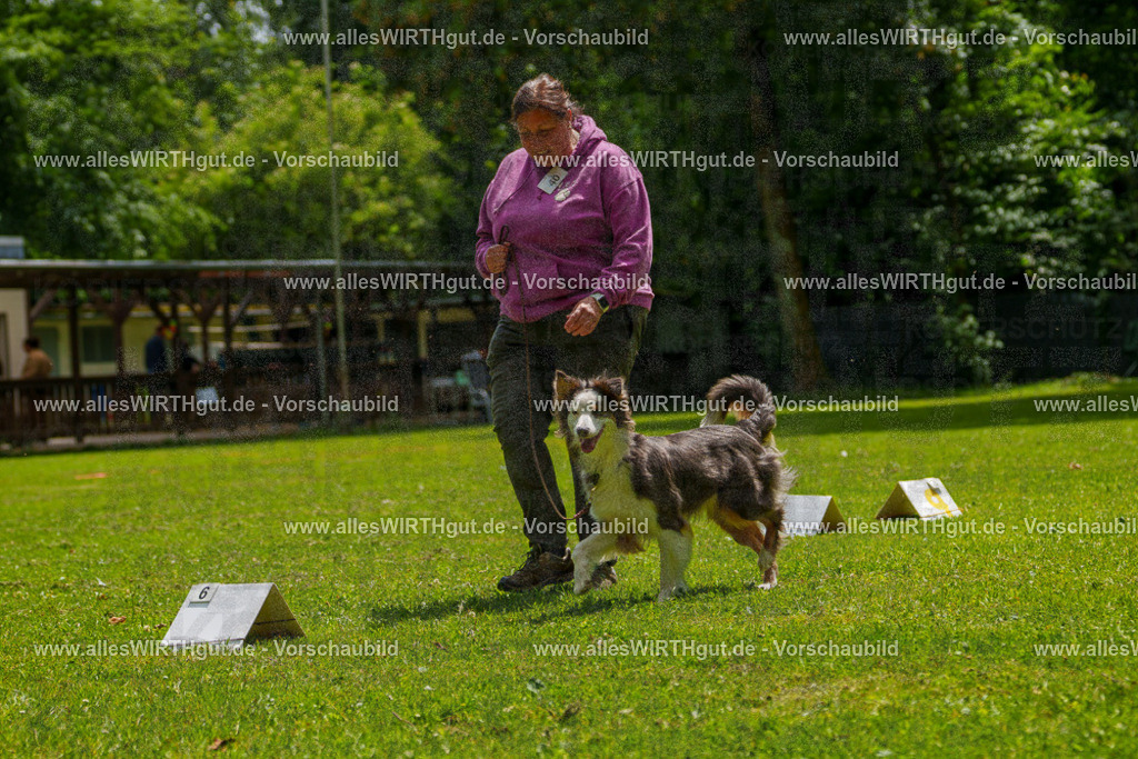 @allesWIRTHgut_Tierfotografie - www.allesWIRTHgut.de - 7R504888 | Professionelle Tierfotografie in Mönchengladbach von Daniel Wirth (allesWIRTHgut). Liebevolle & natürliche Bilder von Hunden & Katzen für unvergessliche Erinnerungen.