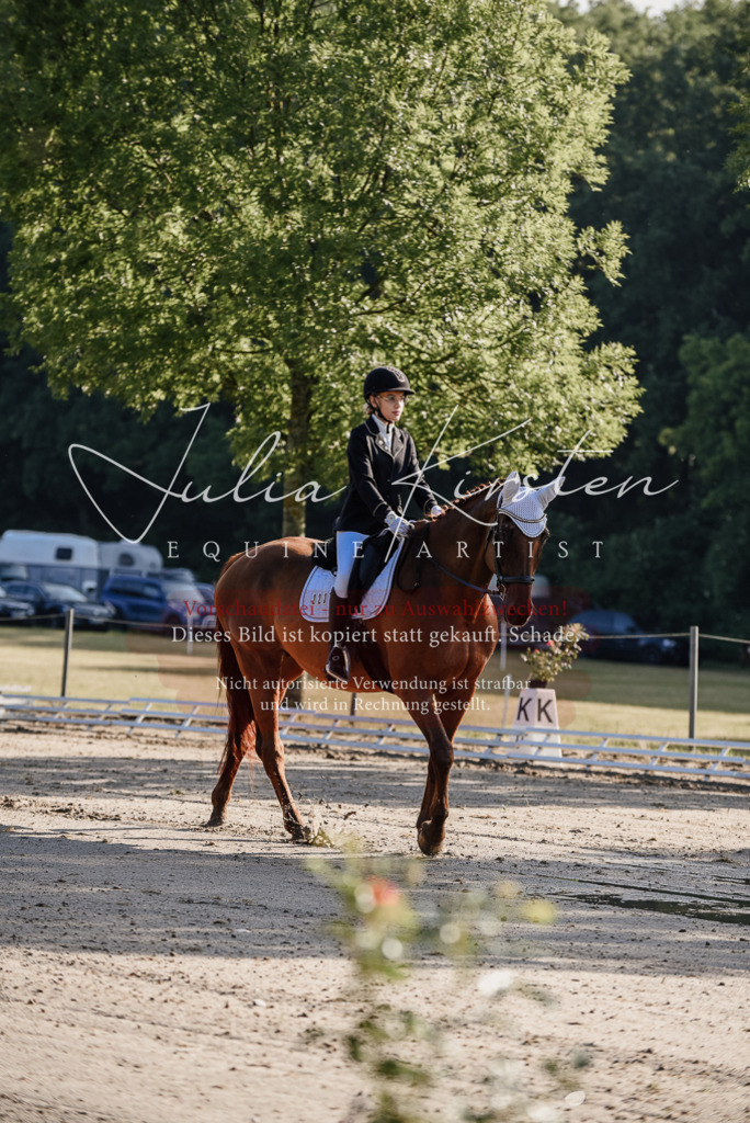 DSC_7683 | Pferde- und Turnierfotografie in Westsachsen. Pferdeportraits, Auftragszeichnungen und intuitive Kunst.