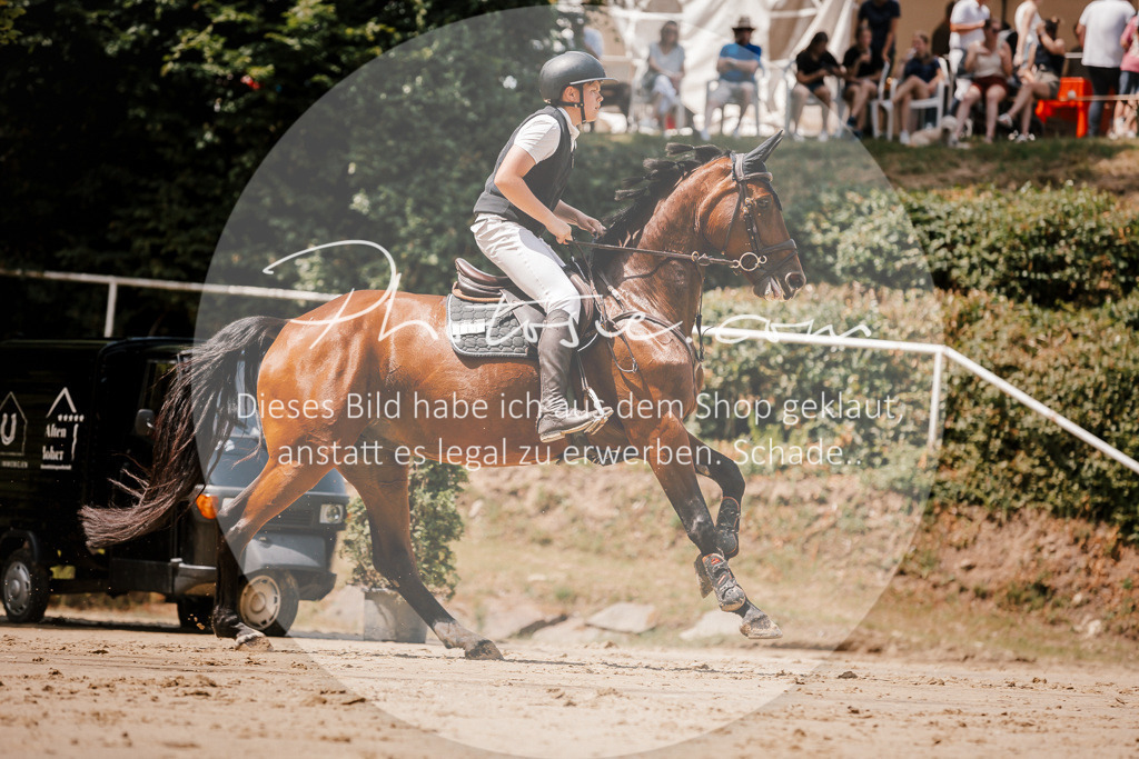 3I6A7973 | Stimmungsvolle Portraits und Reitsportfotografie im Ruhrgebiet und im Münsterland.

Pferdefotografie, Hundefotografie, Tierfotografie, Reportagen, Portraits von Tier und Mensch, Turnierfotografie in Bochum, Recklinghausen, Marl, Haltern am See, Dülmen.. - Realisiert mit Pictrs.com