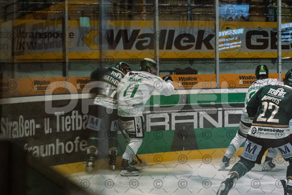 Erding_vs_Alligators_02_01_2026-30 | Höchstadt Alligators Fotogalerie: Eishockey-Action aus Franken. Professionelle Spielfotos, Portraits & Stadionbilder zum Download. Jetzt entdecken! - Realisiert mit Pictrs.com