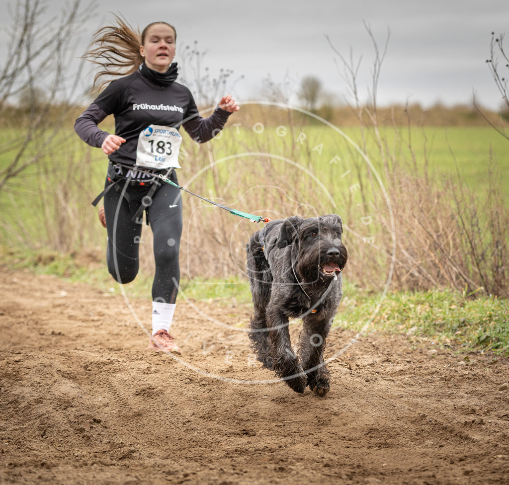 DV3A2133 | Hundefotografie, Tierfotograf, Pfotenfotografie, Fotoshooting Hund, Hunde Portrait, Hundesport, Hundeportraits, Heideshooting, Hunde, Sportfotograf, Hundefotograf, Turnierhundsport, THS,  - Realisiert mit Pictrs.com