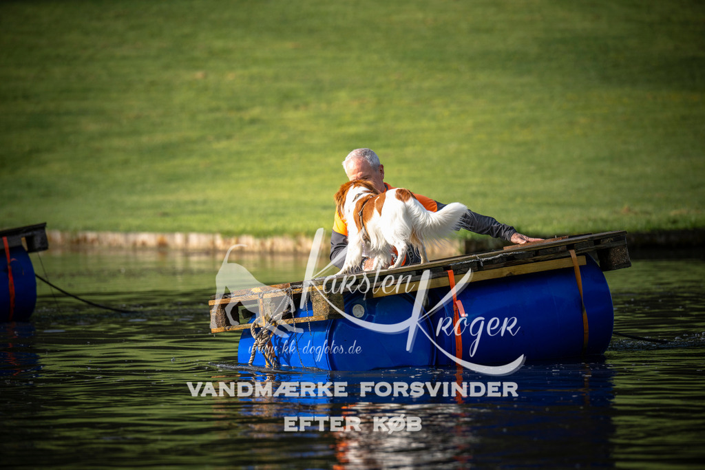 _ZZ940520711 | kk-dogfotos