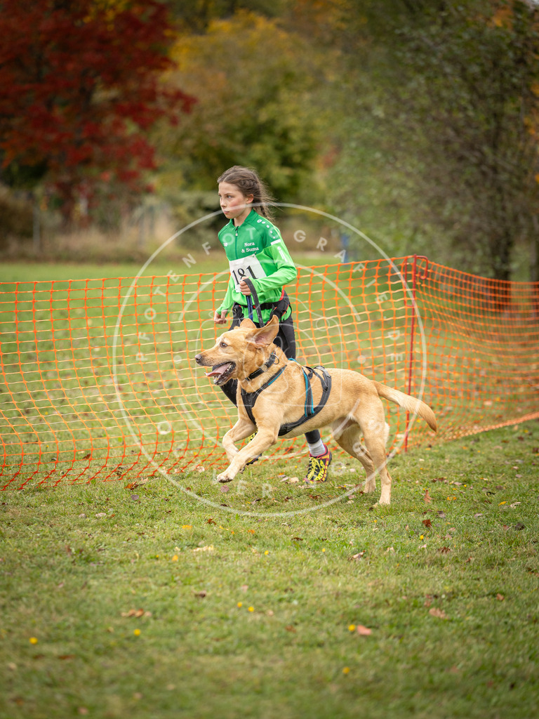 Pfotenfotografie_DV3A3779 | Hundefotografie, Tierfotograf, Pfotenfotografie, Fotoshooting Hund, Hunde Portrait, Hundesport, Hundeportraits, Heideshooting, Hunde, Sportfotograf, Hundefotograf, Turnierhundsport, THS,  - Realisiert mit Pictrs.com