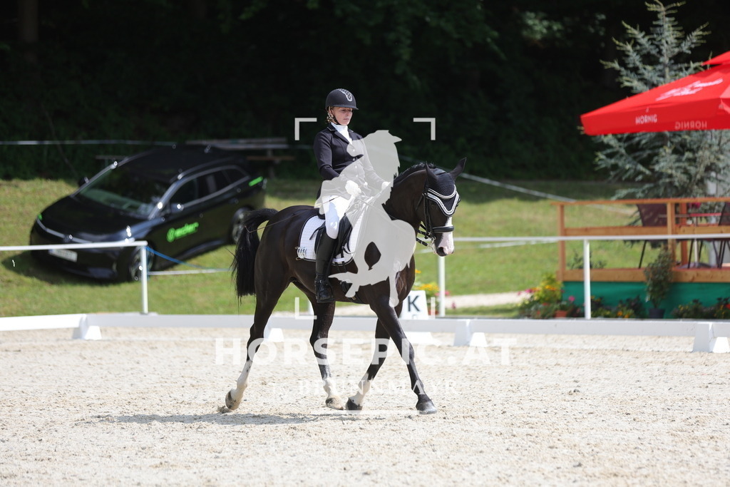 0P6A9345 | Willkommen bei Brunnmayr - Design & Fotografie – Ihrem Spezialisten für Reitturniere und Pferdeveranstaltungen in Oberösterreich, Salzburg und Bayern! Seit über 17 Jahren sind wir leidenschaftlich dabei.