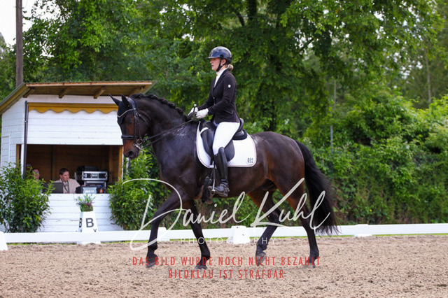 DKP41158 | Turnierfotos kaufen im Webshop von Daniel Kuhl Photography – entdecke professionelle Reitsportfotos aus Turnieren & Events. Hochwertige Turnierbilder online bestellen & sichern. Jetzt Fotos von Reitsportturnieren kaufen!