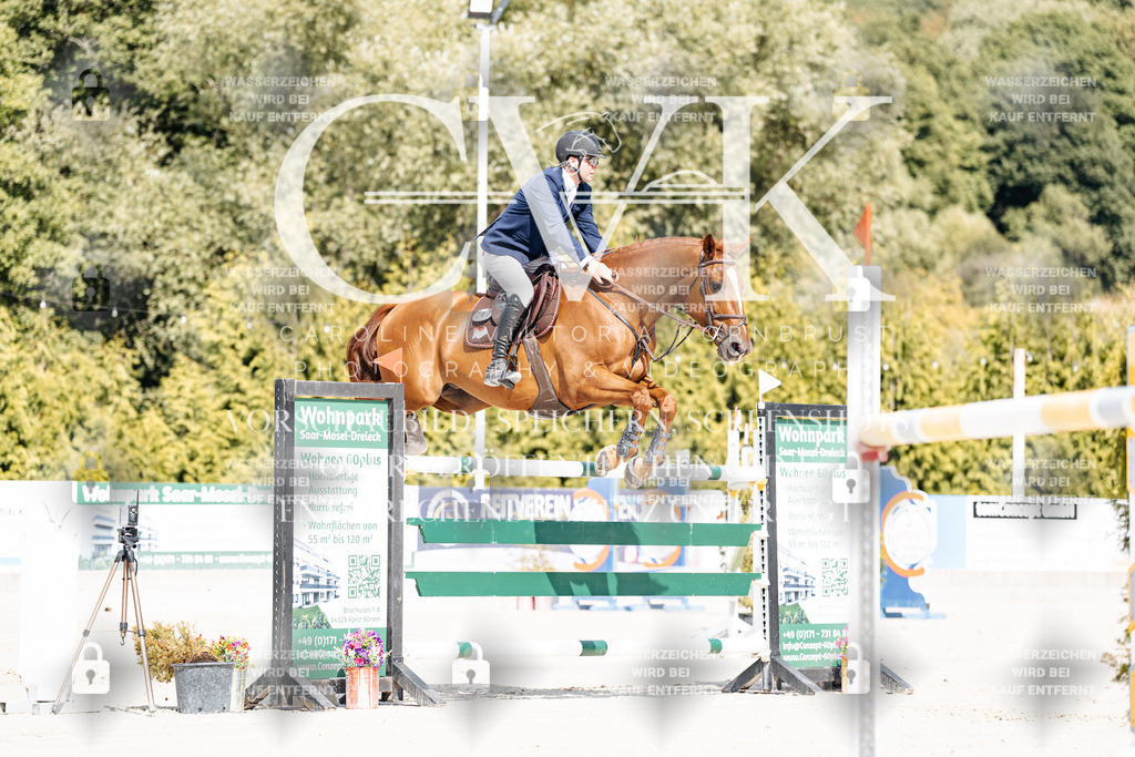 CK908809 | Turnierfotografie Pferdefotografie Trier Rheinland-Pfalz Pferdesport Reitsport Tierfotografie Sportfotografie Pferdevideo Pferdevideografie Equestrianvideography equestrianphotography  - Realisiert mit Pictrs.com