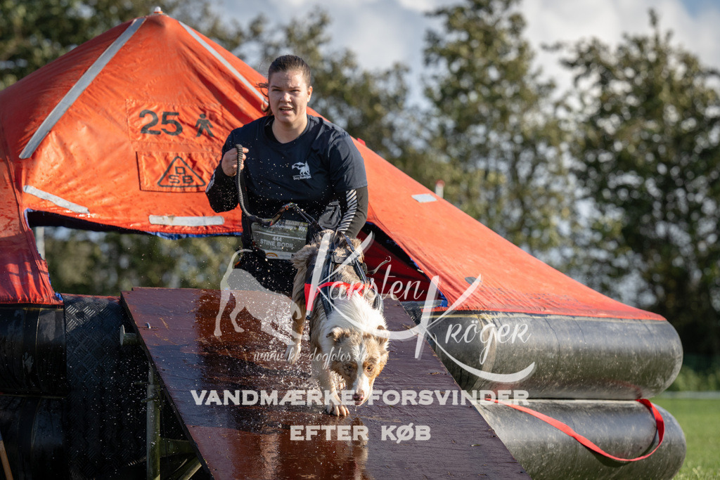 1459-90418 | kk-dogfotos