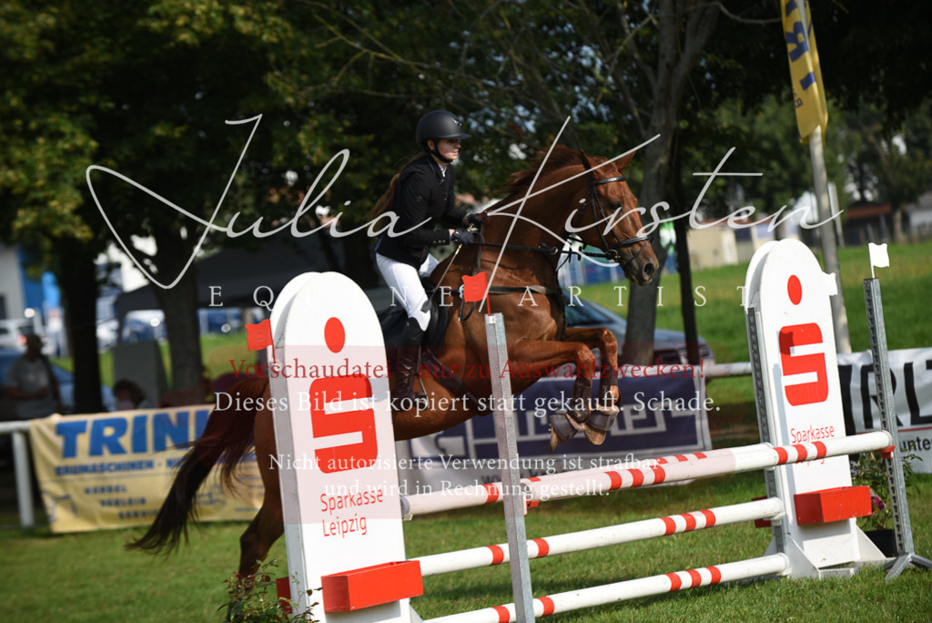 DSC_8777 | Pferde- und Turnierfotografie in Westsachsen. Pferdeportraits, Auftragszeichnungen und intuitive Kunst.