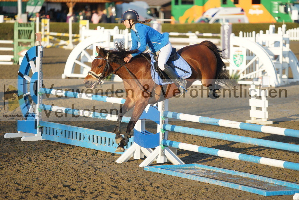 DSC01938 | equestrian-live-com