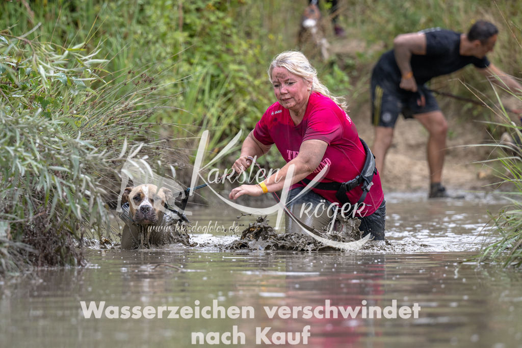 1234_ZZ90181 | kk-dogfotos