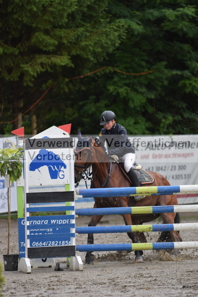 DSC_0052 | equestrian-live-com