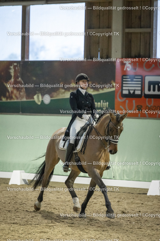 _D5A7174 | Emotionale Pferde- & People-Fotografie rund um Heidelberg, Leimen & Umgebung. Natürliche Fotos von Pferd, Mensch & Familie. Jetzt Termin sichern!