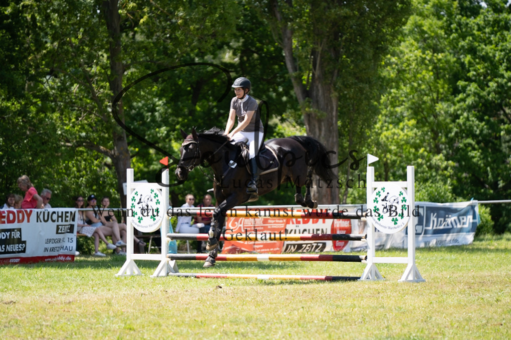 A7V06202 | Pferdefotograf