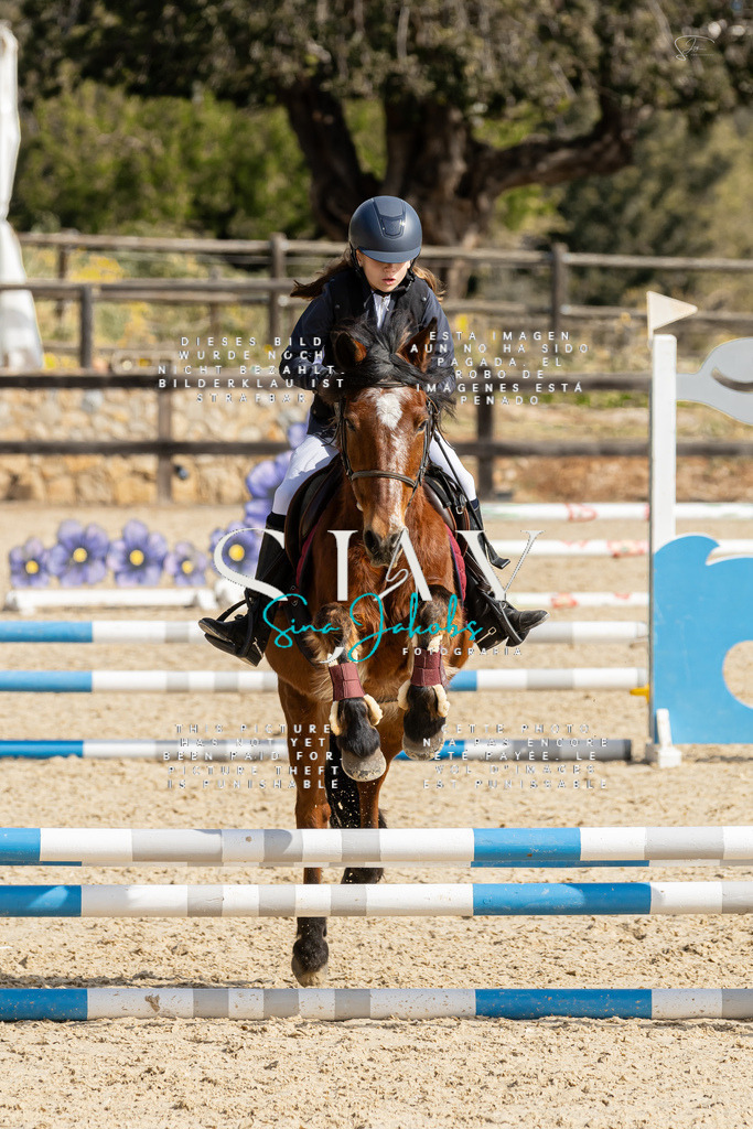 IMG_4391 | s-jay-photography - Realisiert mit Pictrs.com