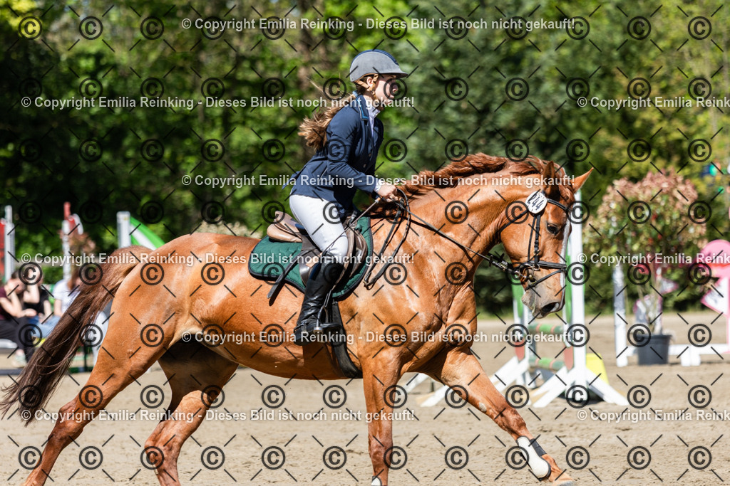 CL5A2129 | Emilia Reinking Fotografie - Realisiert mit Pictrs.com