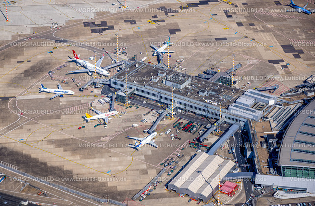 Duesseldorf220700497 | Luftbild, Flughafen Düsseldorf Airport, Abfertigungshalle und Abfertigungsfinger, Lohausen, Düsseldorf, Rheinland, Nordrhein-Westfalen, Deutschland