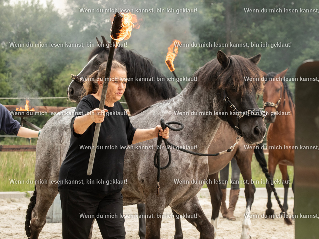 598A7070 | photographylinaismer - Realisiert mit Pictrs.com