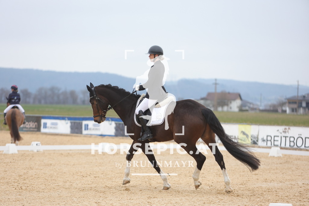 0P6A4559 | Willkommen bei Brunnmayr - Design & Fotografie – Ihrem Spezialisten für Reitturniere und Pferdeveranstaltungen in Oberösterreich, Salzburg und Bayern! Seit über 17 Jahren sind wir leidenschaftlich dabei.