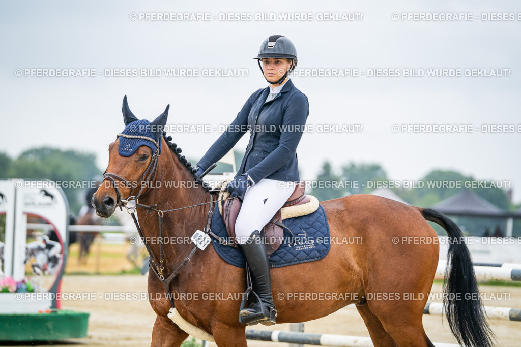 DSC01179 | Pferdegrafie