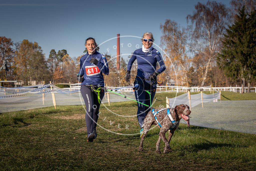 CaniXpix_0L8A8683 | Hundefotografie, Tierfotograf, Pfotenfotografie, Fotoshooting Hund, Hunde Portrait, Hundesport, Hundeportraits, Heideshooting, Hunde, Sportfotograf, Hundefotograf, Turnierhundsport, THS,  - Realisiert mit Pictrs.com