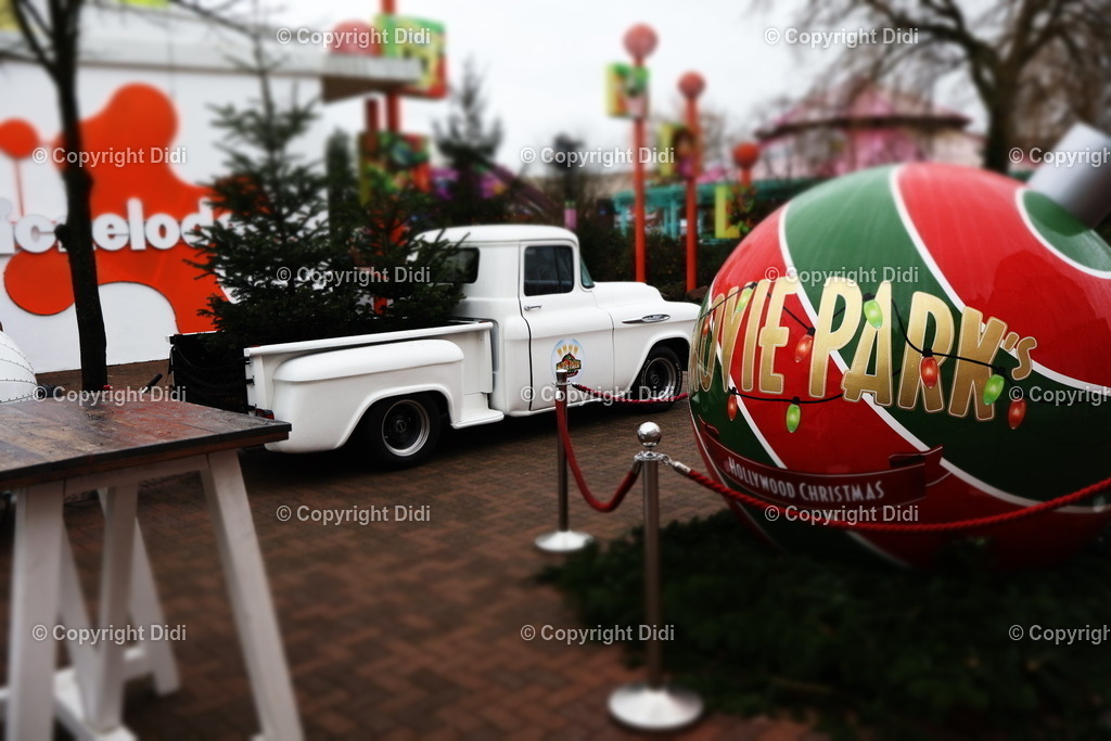 IMG_1138 | Didi - Realisiert mit Pictrs.com