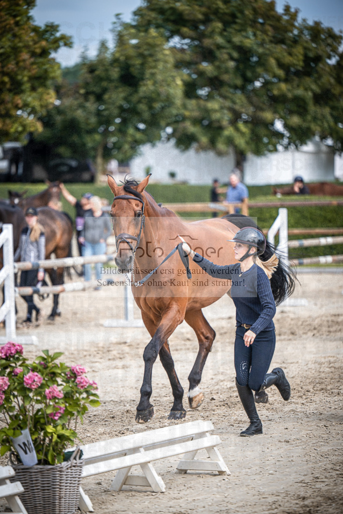 DOS_0723 | Entdecke hochwertige Reitturnierfotos von Foto Oger. Professionell, emotional und authentisch – jetzt Lieblingsmomente im Shop bestellen.Deutschlandweite Turnierfotografie. - Realisiert mit Pictrs.com