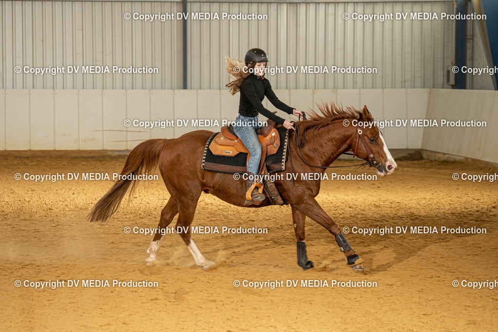 MIT00101 | dv-media-shop - Realisiert mit Pictrs.com