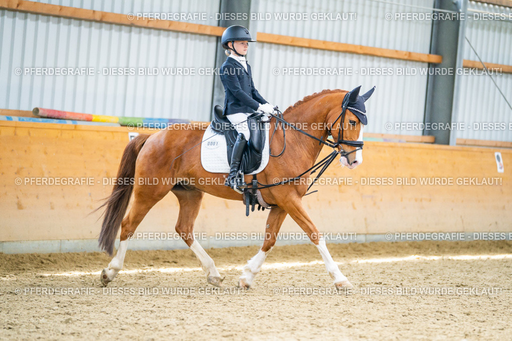 DSC04547 | Pferdegrafie