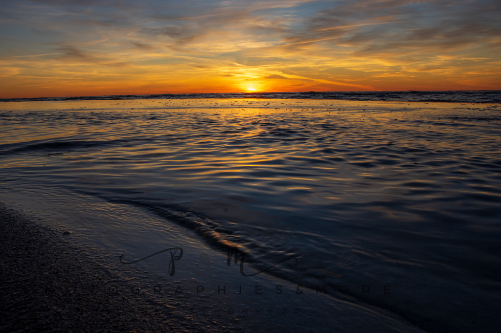 _WhiteStrand2022-1123 | Photographies and more - Realisiert mit Pictrs.com