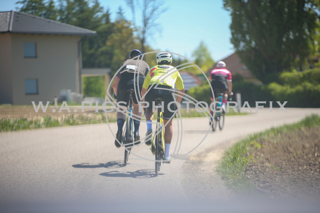 ..... | Wels, 23.04.2026, Kirschblüten Radrennen 2026 , Image shows: Photo: Wapics / Willdoner Andreas