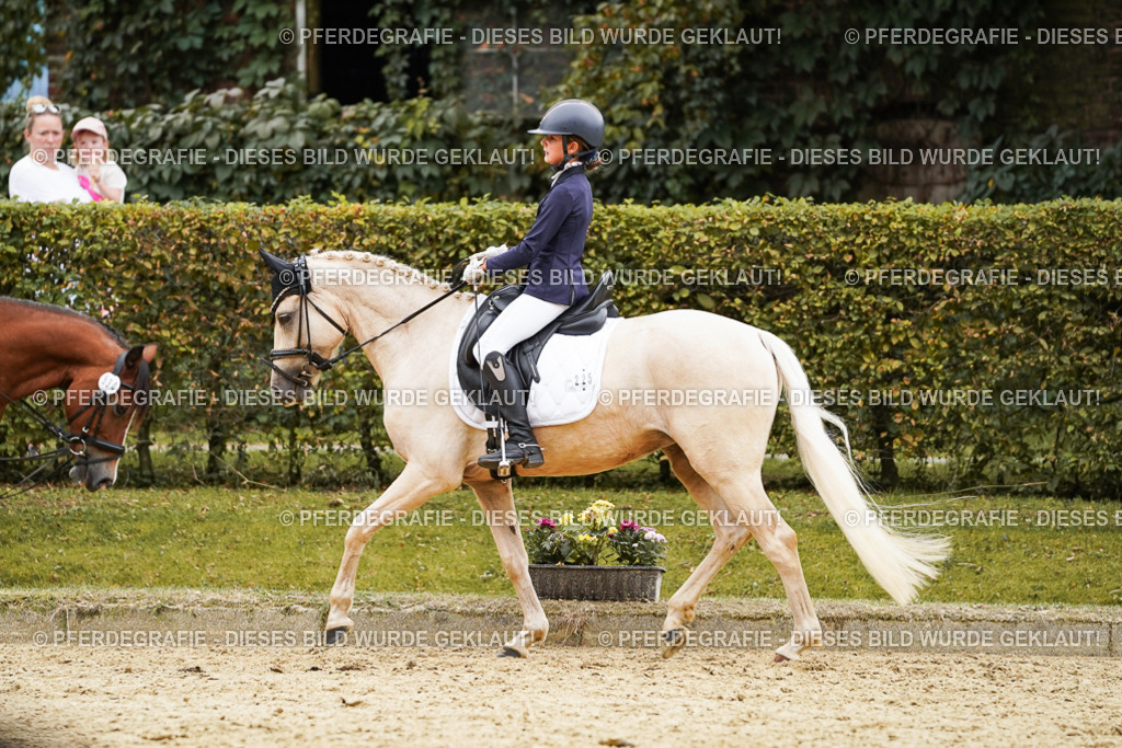 DSC00344 | Pferdegrafie