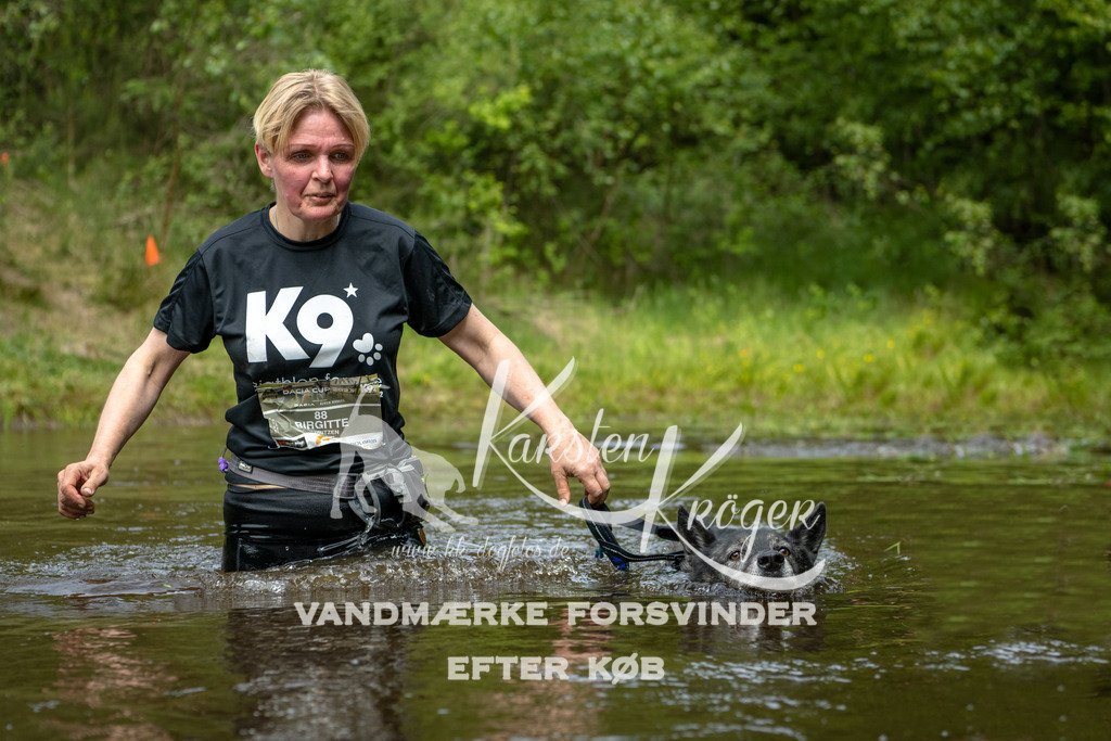 1116DKK994592 | kk-dogfotos