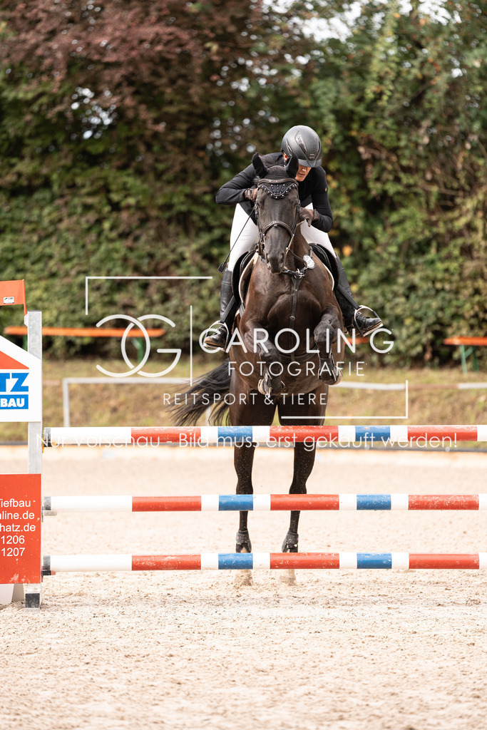 DSC03467 | Carolin Gieschke