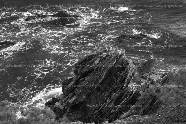 Bandung an der Esterel Küste | An der Esterel Küste